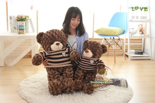 Size 3 & Size 5 - Gấu Teddy Socola