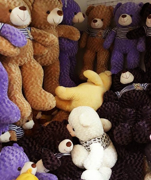 Shop gấu bông Teddy Vĩnh Long có nhiều size và màu sắc lựa chọn...