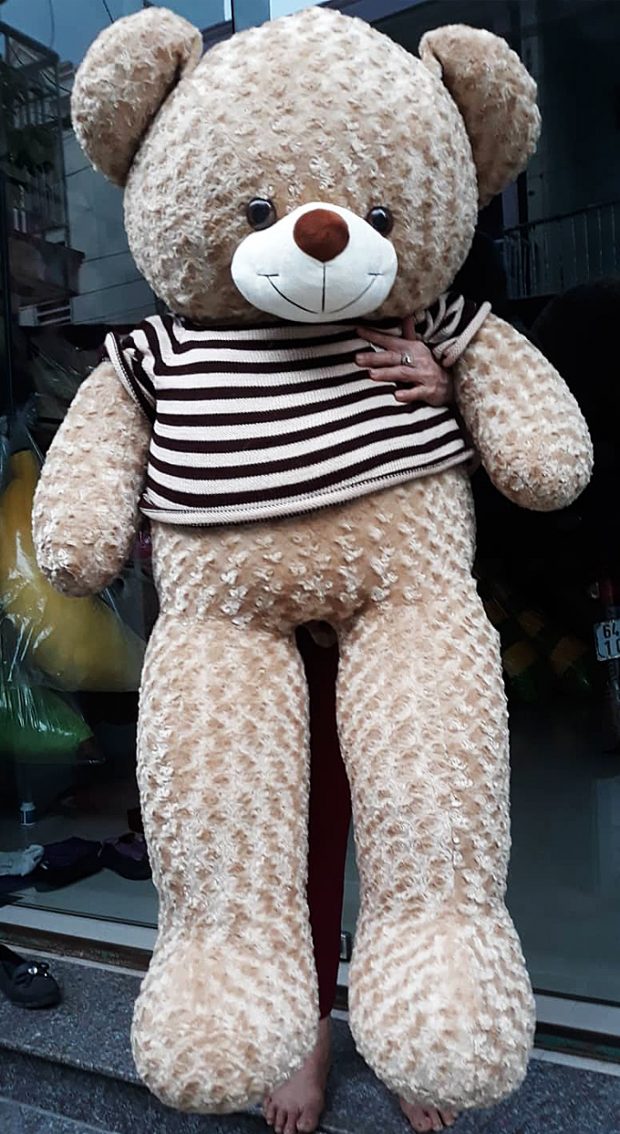 Gấu bông Teddy màu cà phê sữa size 1.6m