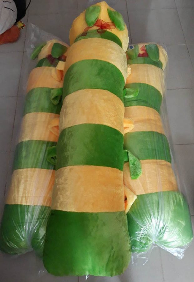 Sâu bông Cần Thơ 2