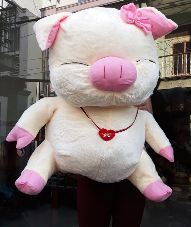 Heo hồng hí size 1 màu hồng nhạt giá 360.000 VND
