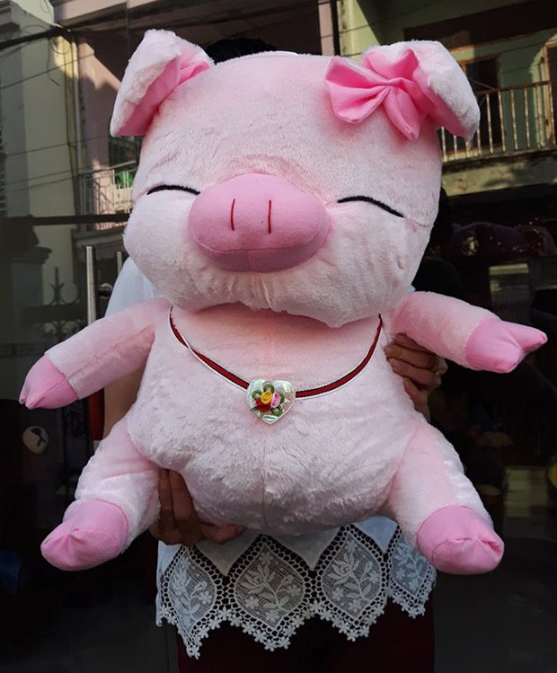 Heo hồng hí size 2 màu hồng nhạt giá 240.000 VND