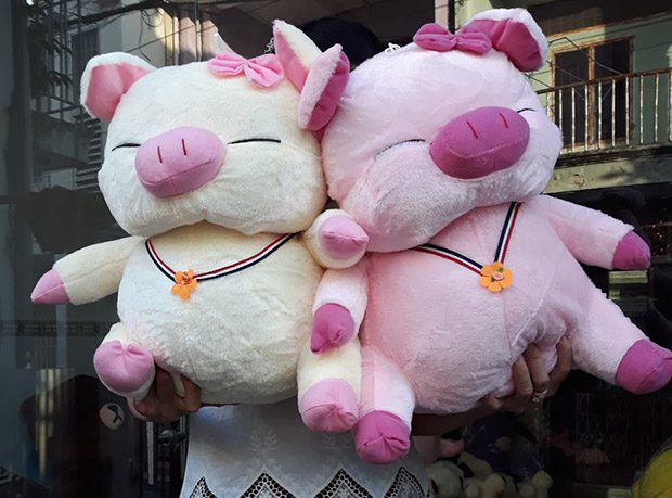 Heo hồng hí size 3 giá 160.000 VND