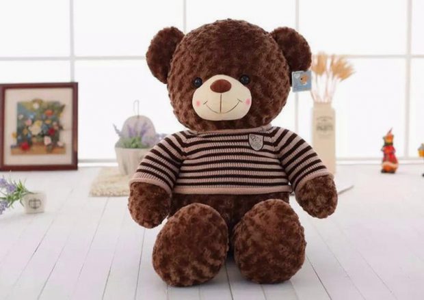 Gấu bông Teddy Socola