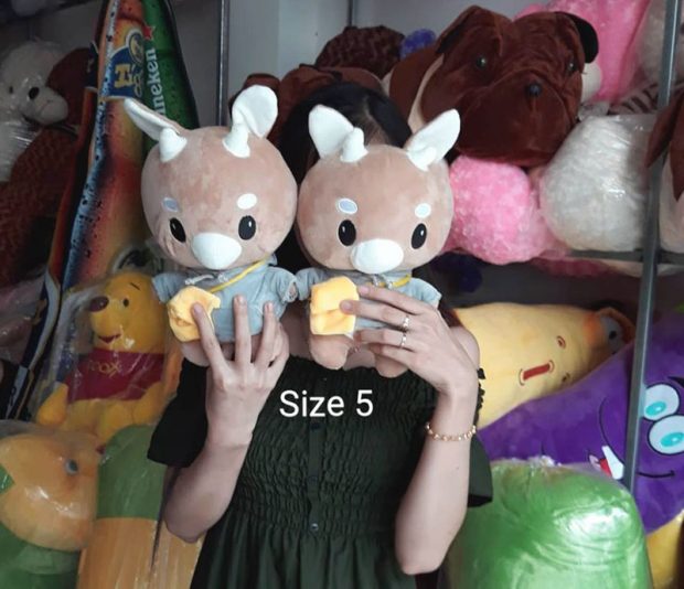 Bò chăm chỉ size 5