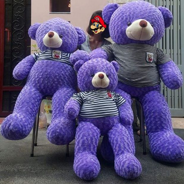 Gấu Teddy Lavender - Gấu Bông Cần Thơ
