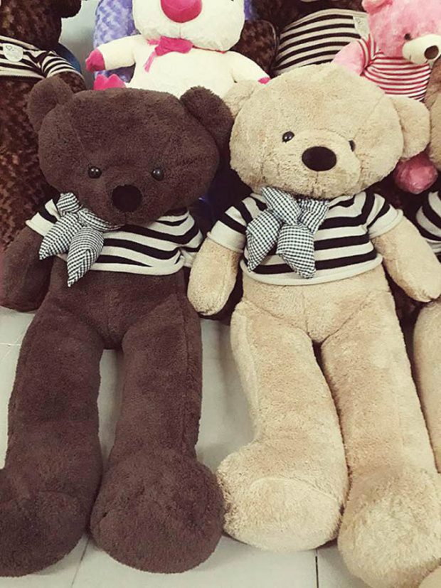 Gấu Teddy lông xù cao cấp - Gấu Bông Cần Thơ