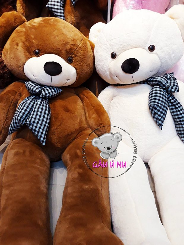 Ngương mặt rất dễ thương, lông mịn và êm, đeo nơ duyên dáng