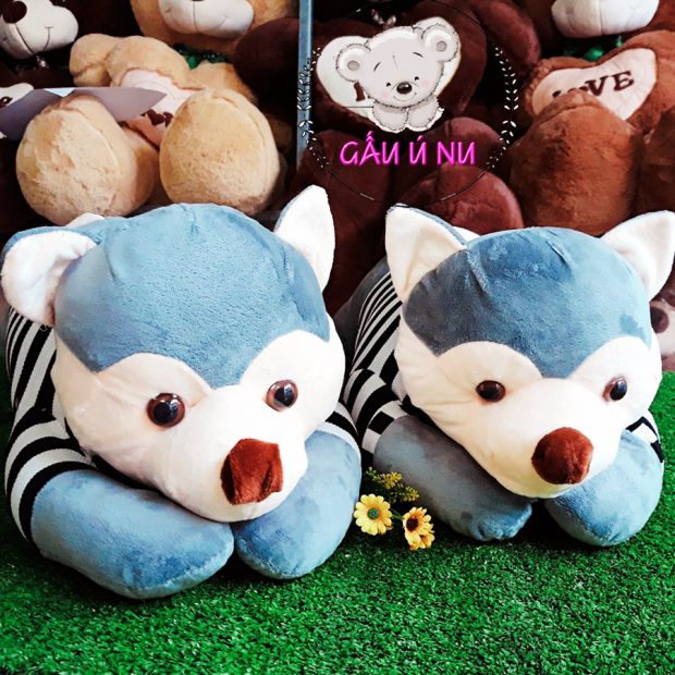 Mặt bé Husky nhồi bông này khá cưng